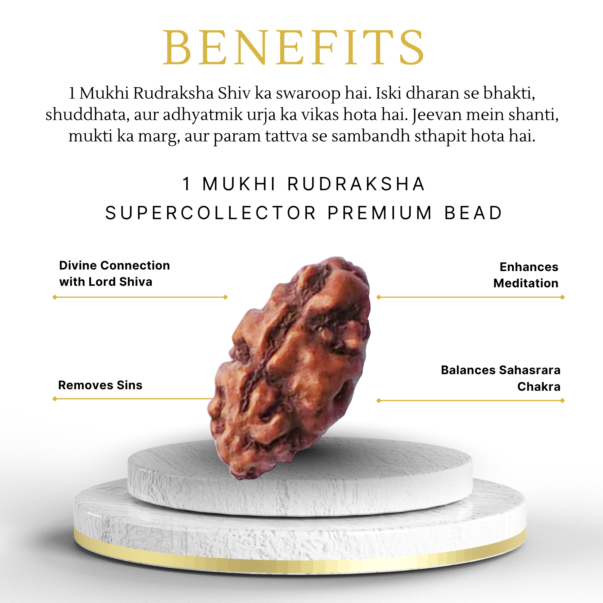 Buy Indonesian 1 Mukhi Rudraksha Supercollector Premium Bead - Image 3