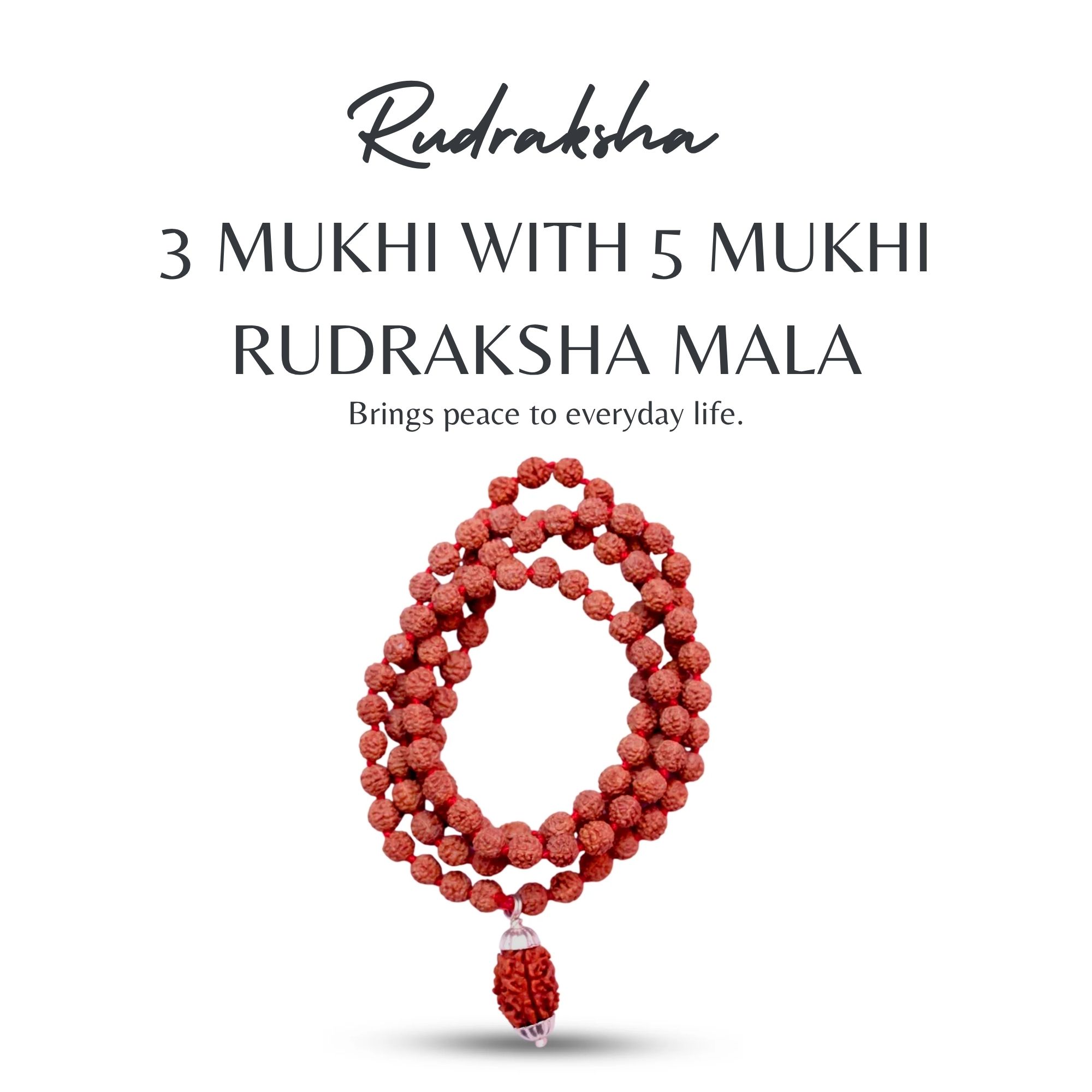 Buy 3 Mukhi Rudraksha with 5 Mukhi Rudraksha Mala