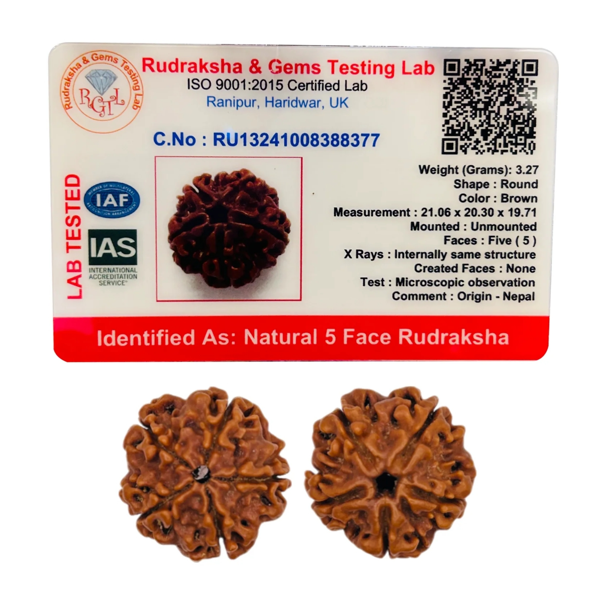 Original Nepali 5 Mukhi Rudraksha Collector - Image 2