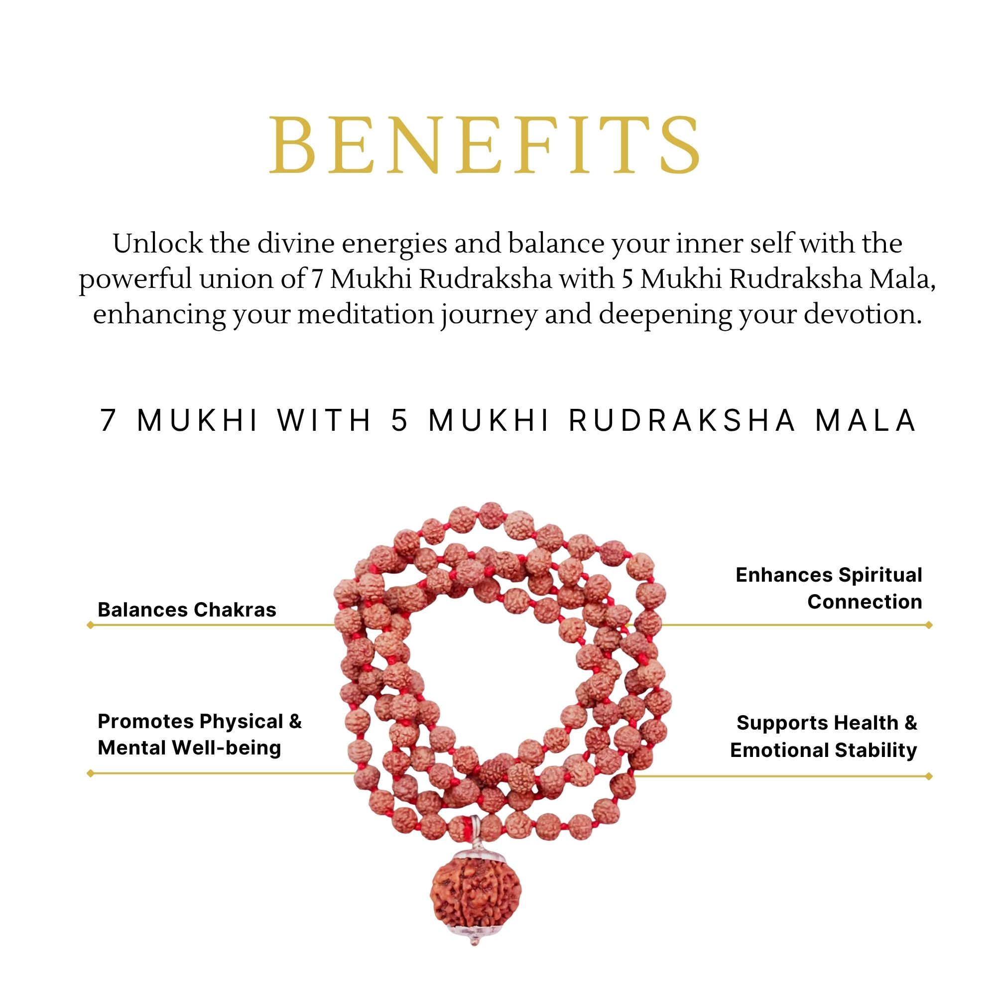 Buy 7 Mukhi Rudraksha and 5 Mukhi Rudraksha Mala - Image 3
