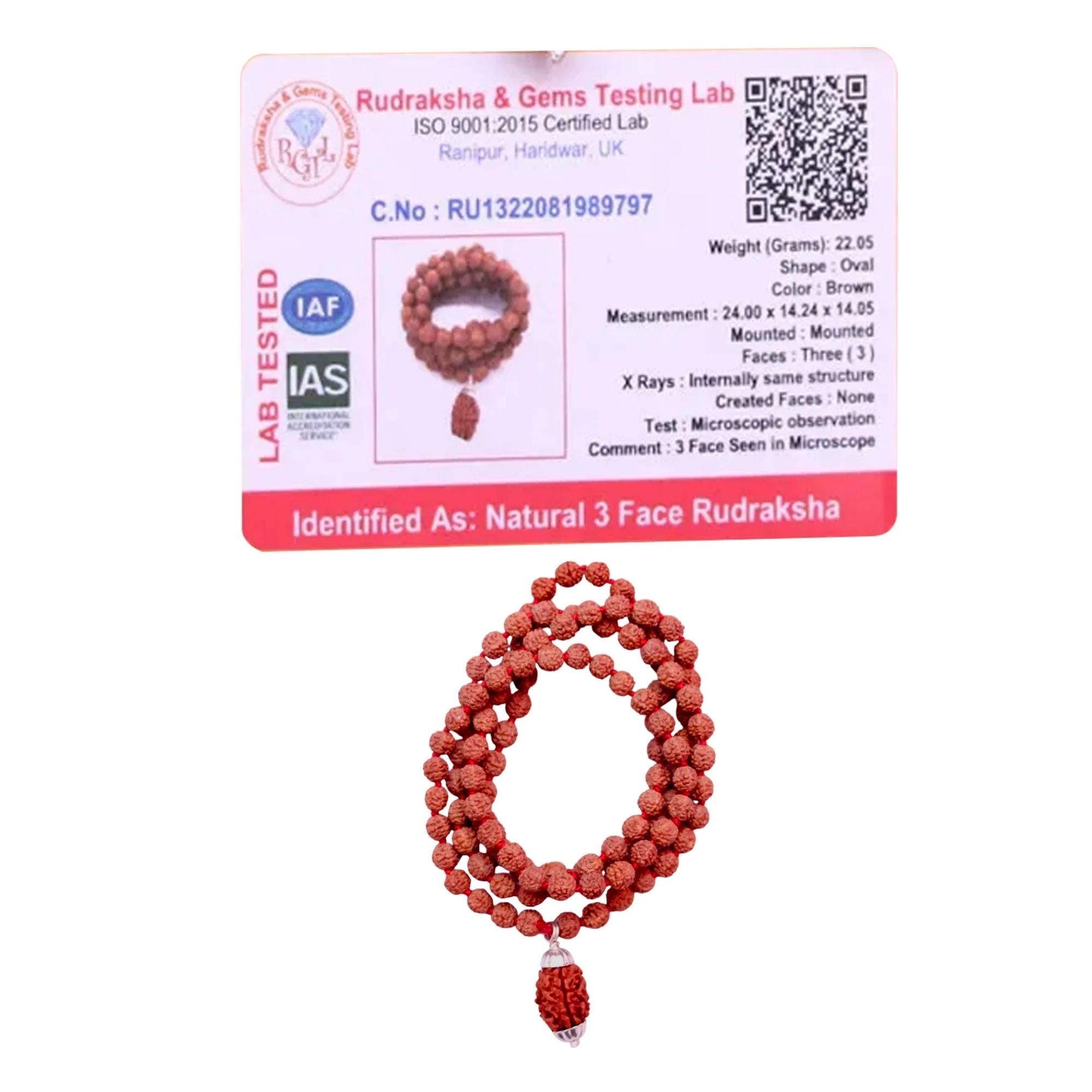 Buy 3 Mukhi Rudraksha with 5 Mukhi Rudraksha Mala - Image 2