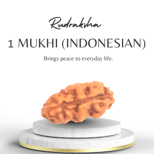 Premium Indonesian 1 Mukhi Rudraksha | Certified Original