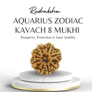 Aquarius Zodiac Kavach 8 Mukhi Rudraksha