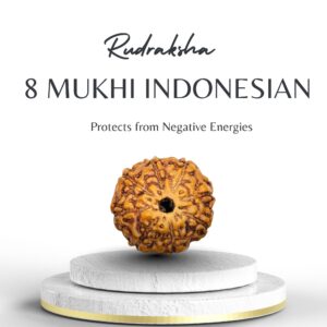 Buy 8 Mukhi Indonesian Rudraksha for Success