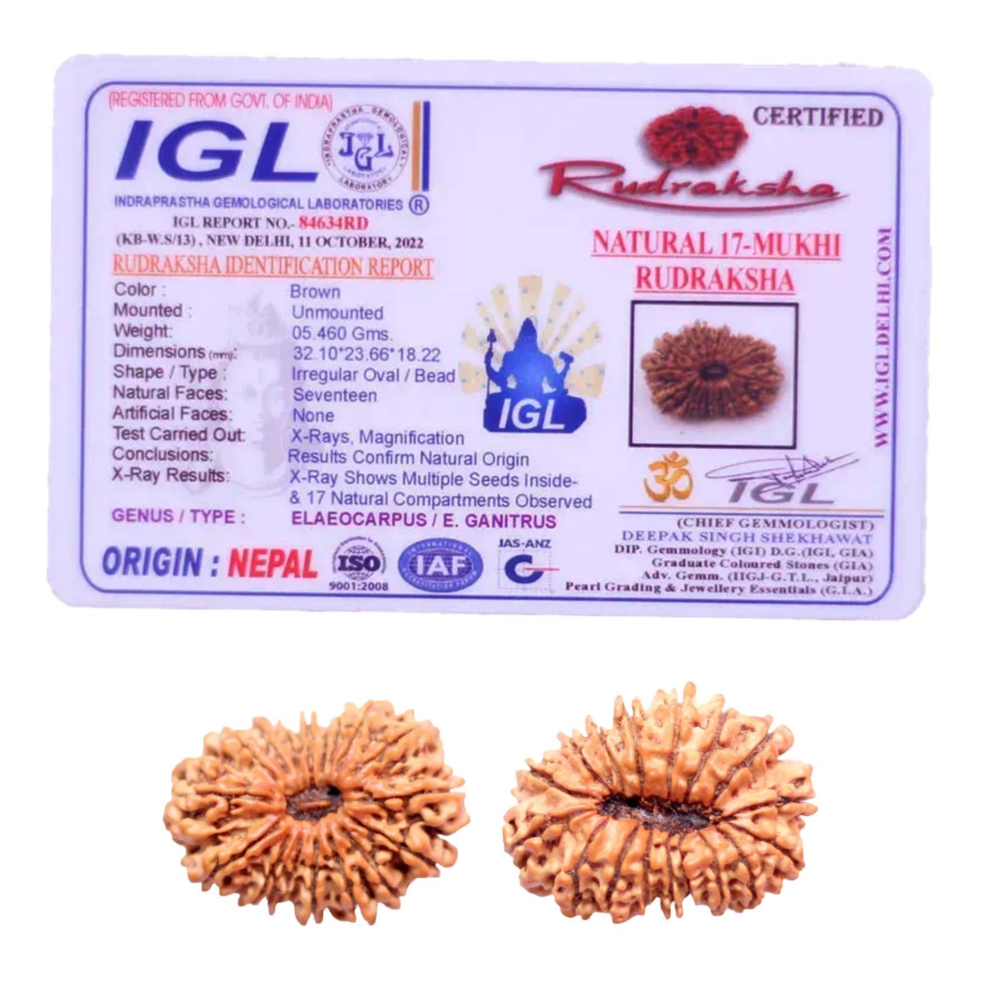 Original Nepali 17 Mukhi Rudraksha Collector - Image 2