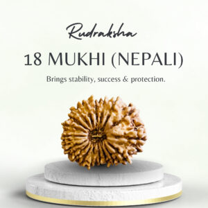 Buy Original Nepali 18 Mukhi Rudraksha Regular