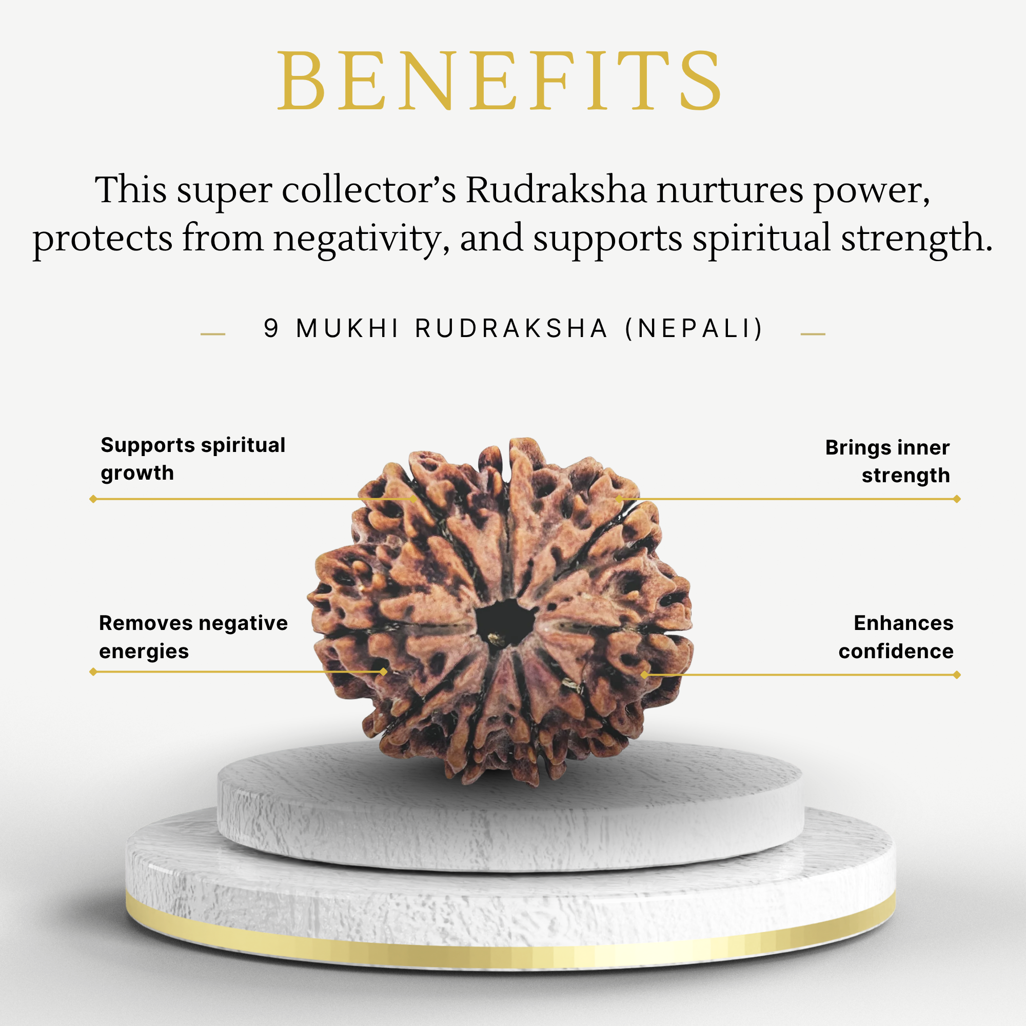 Premium Nepali 9 Mukhi Rudraksha Super Collector - Image 3