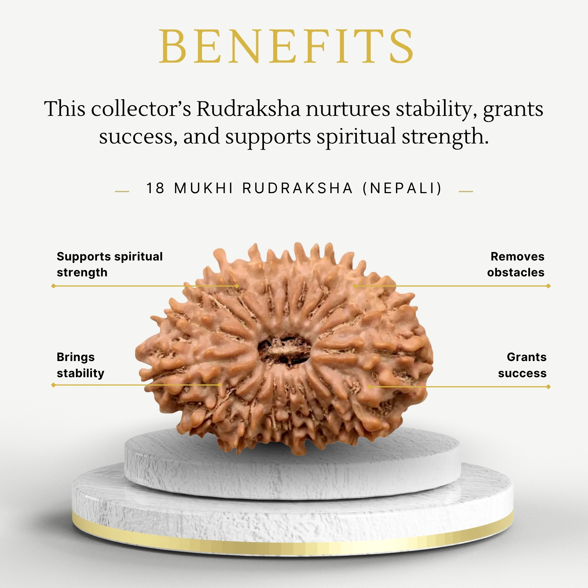 Original Nepali 18 Mukhi Rudraksha Collector - Image 3