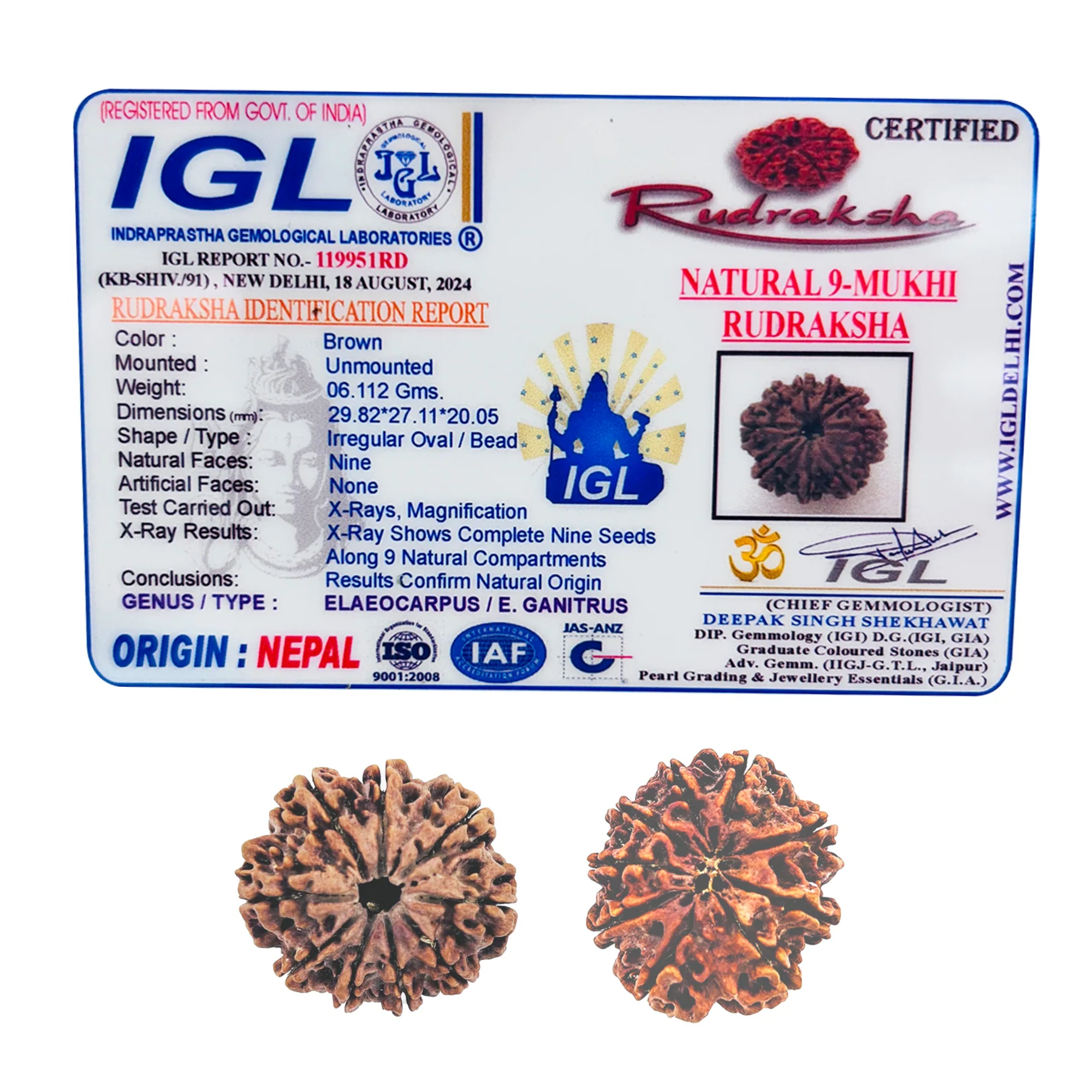 Premium Nepali 9 Mukhi Rudraksha Super Collector - Image 2