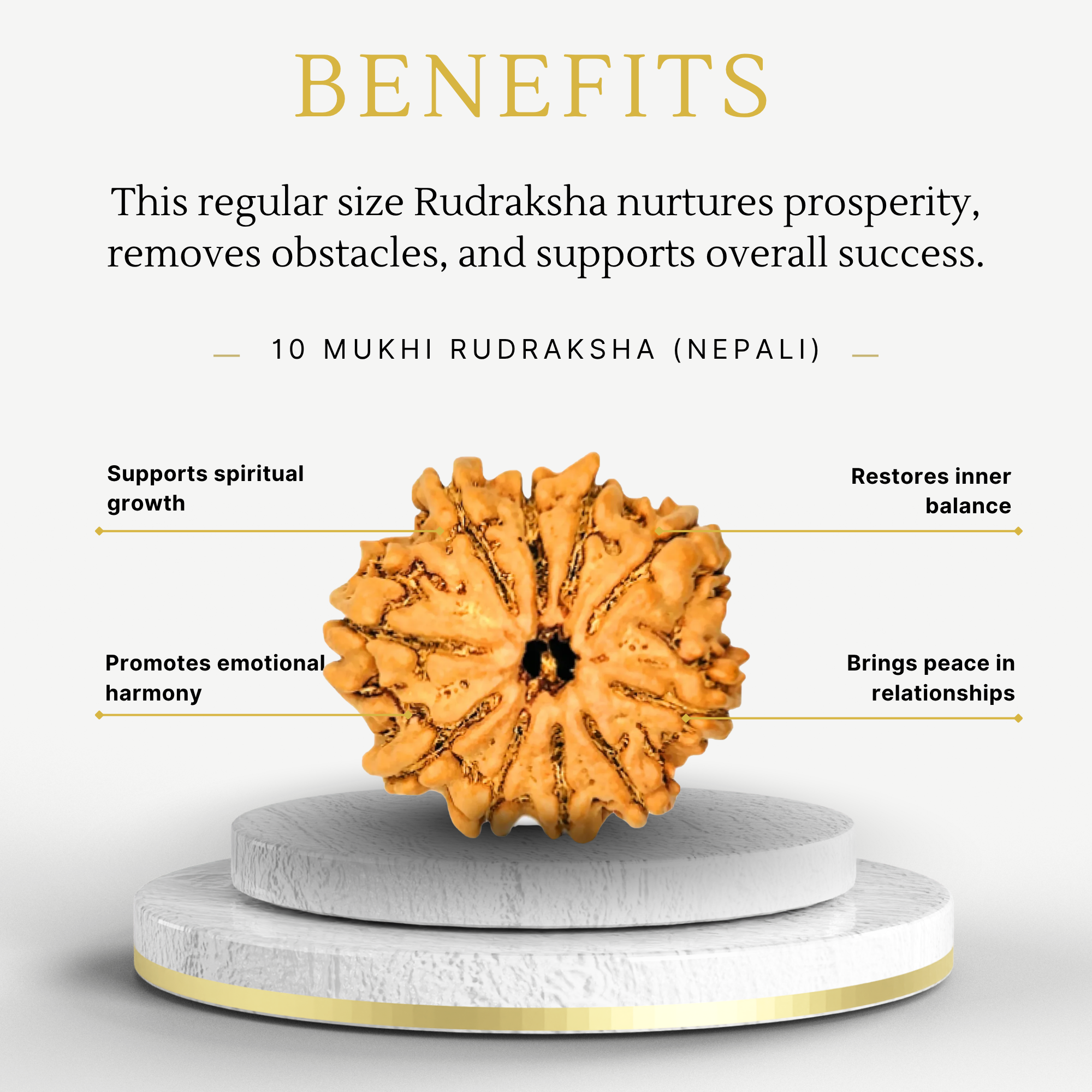 Buy 10 Mukhi Rudraksha Nepali Regular - Image 3