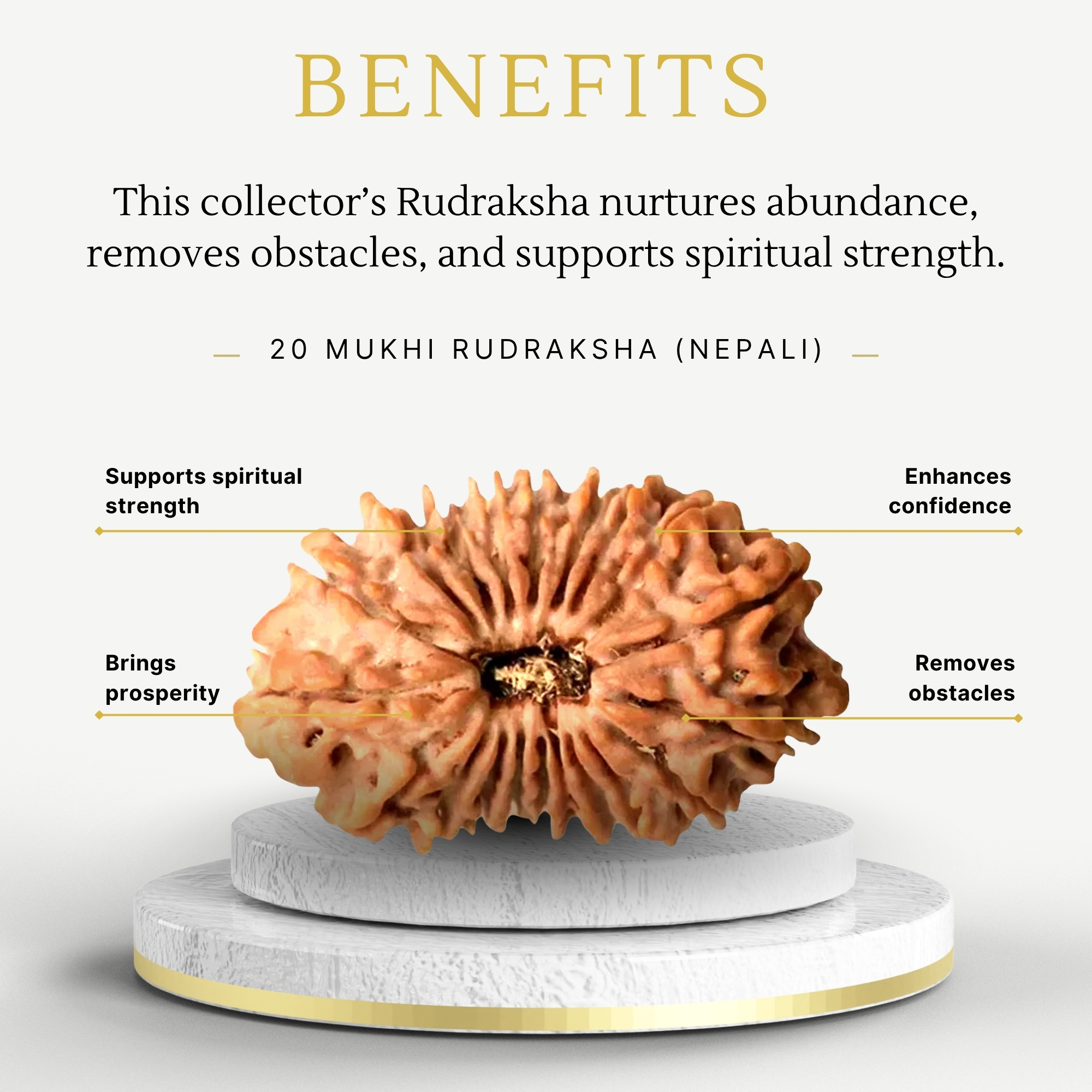 Original Nepali 20 Mukhi Rudraksha Collector - Image 3