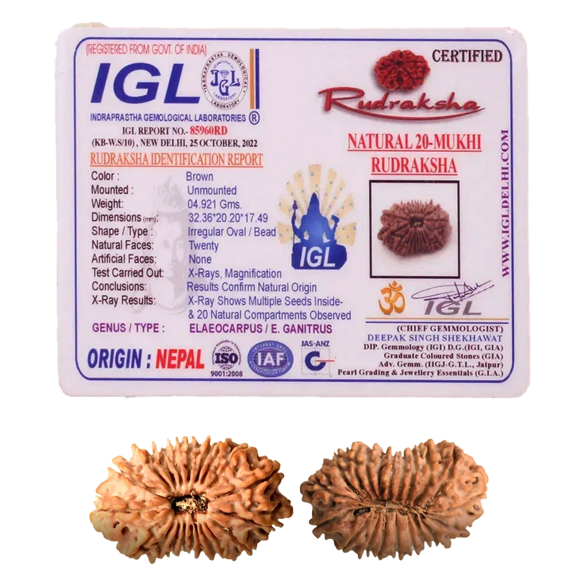 Original Nepali 20 Mukhi Rudraksha Collector - Image 2