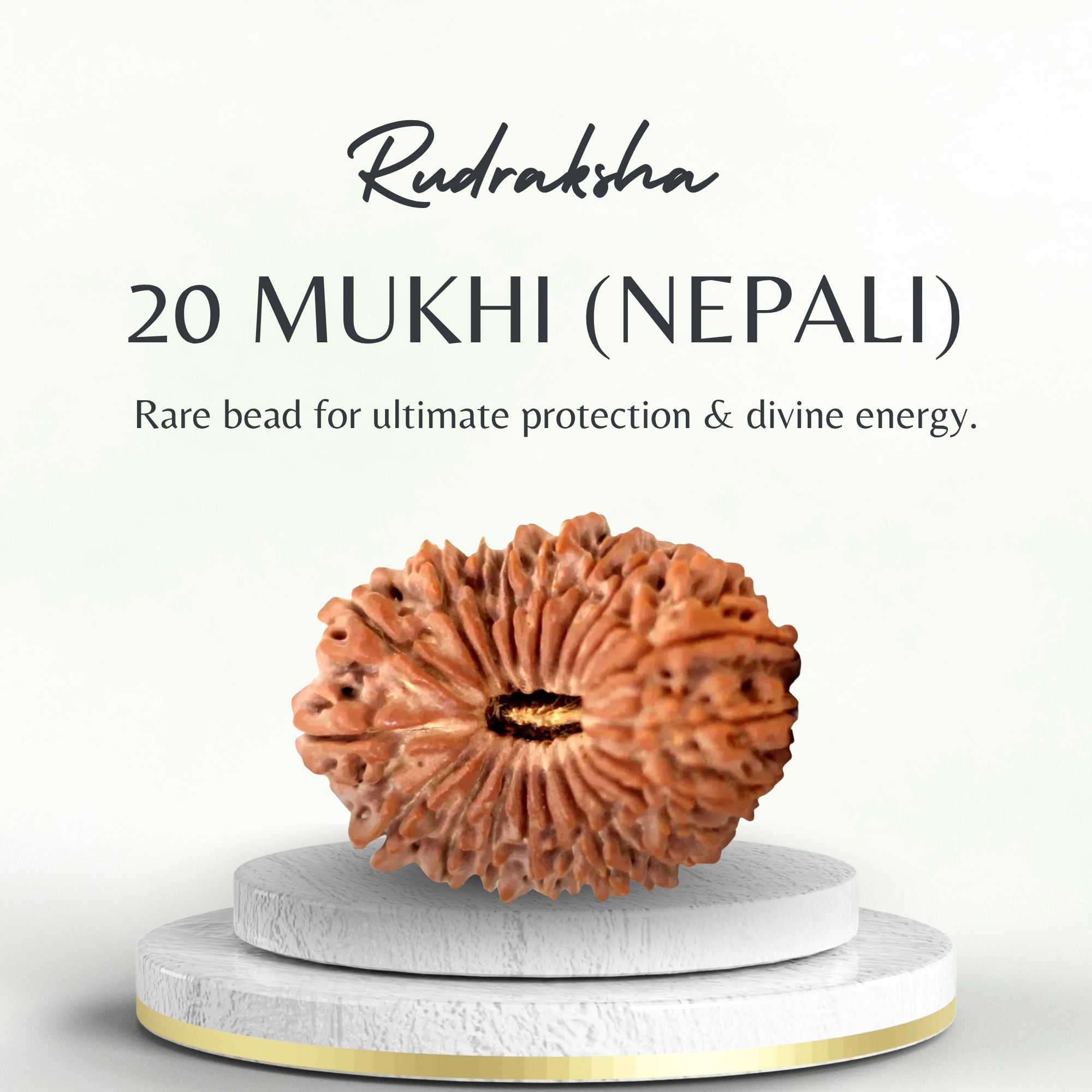 Premium Nepali 20 Mukhi Rudraksha Super Collector