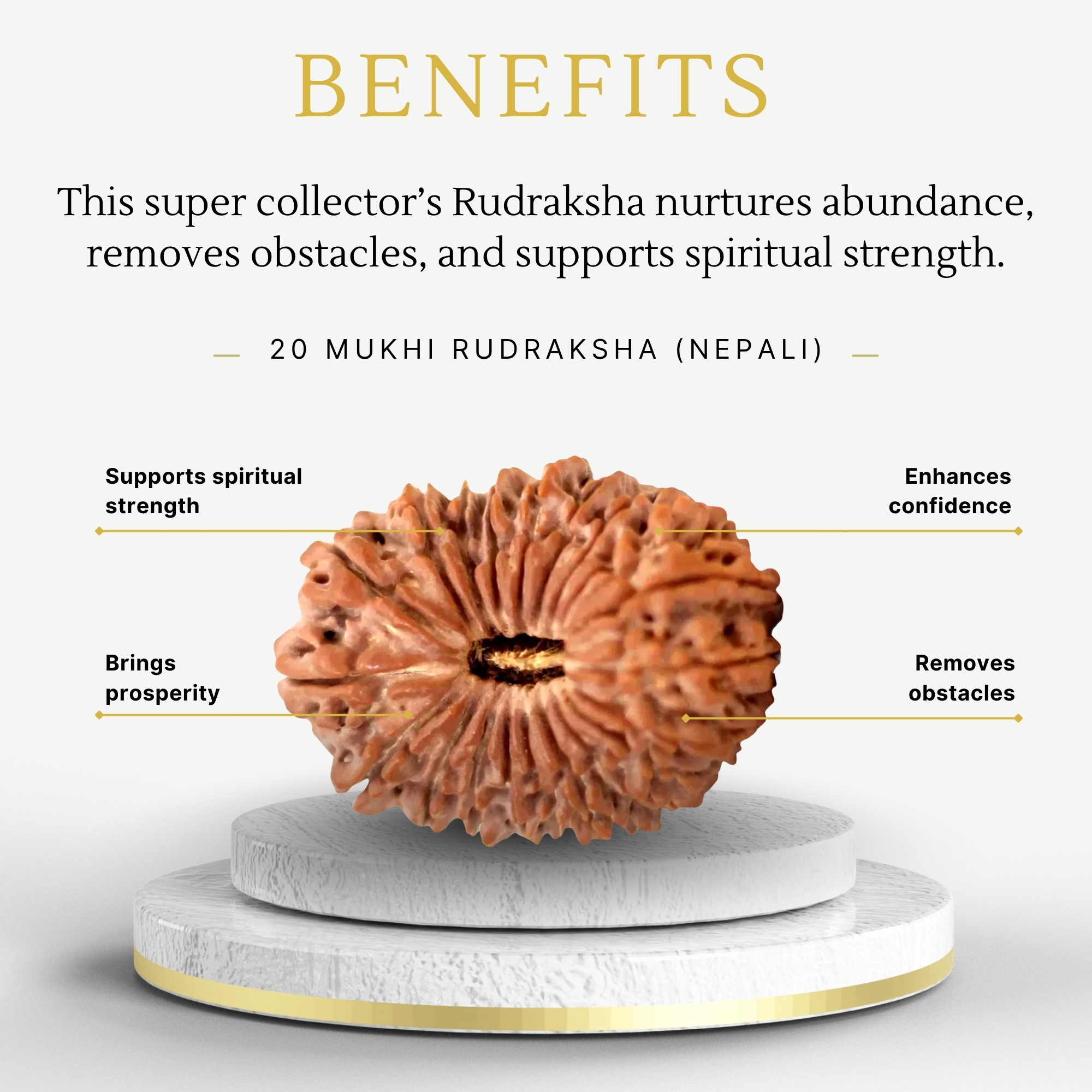 Premium Nepali 20 Mukhi Rudraksha Super Collector - Image 3