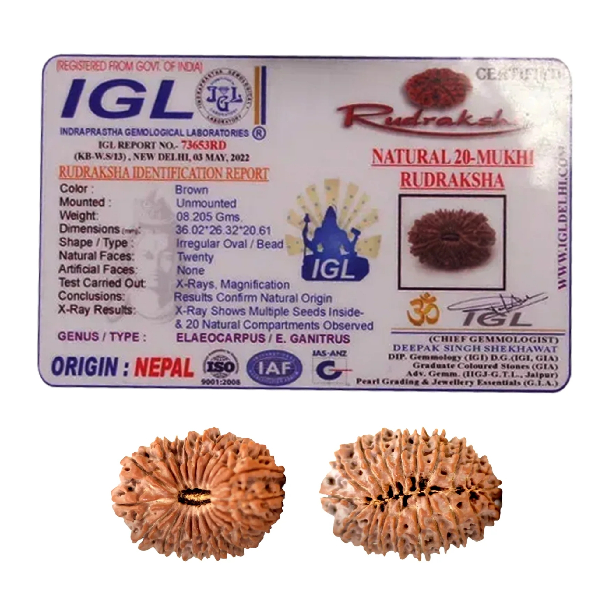 Premium Nepali 20 Mukhi Rudraksha Super Collector - Image 2