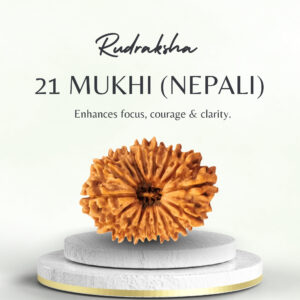 Nepali 21 Mukhi Rudraksha Medium Grade