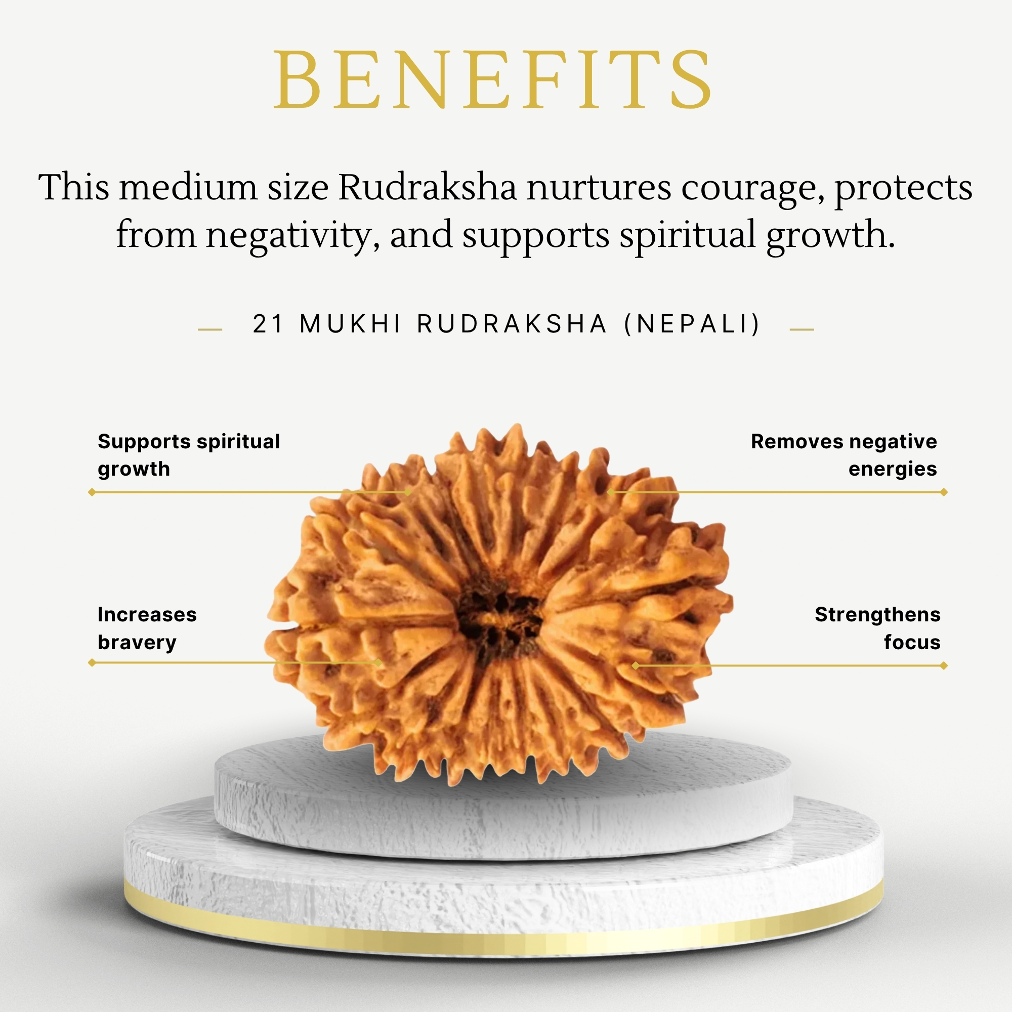 Nepali 21 Mukhi Rudraksha Medium Grade - Image 3