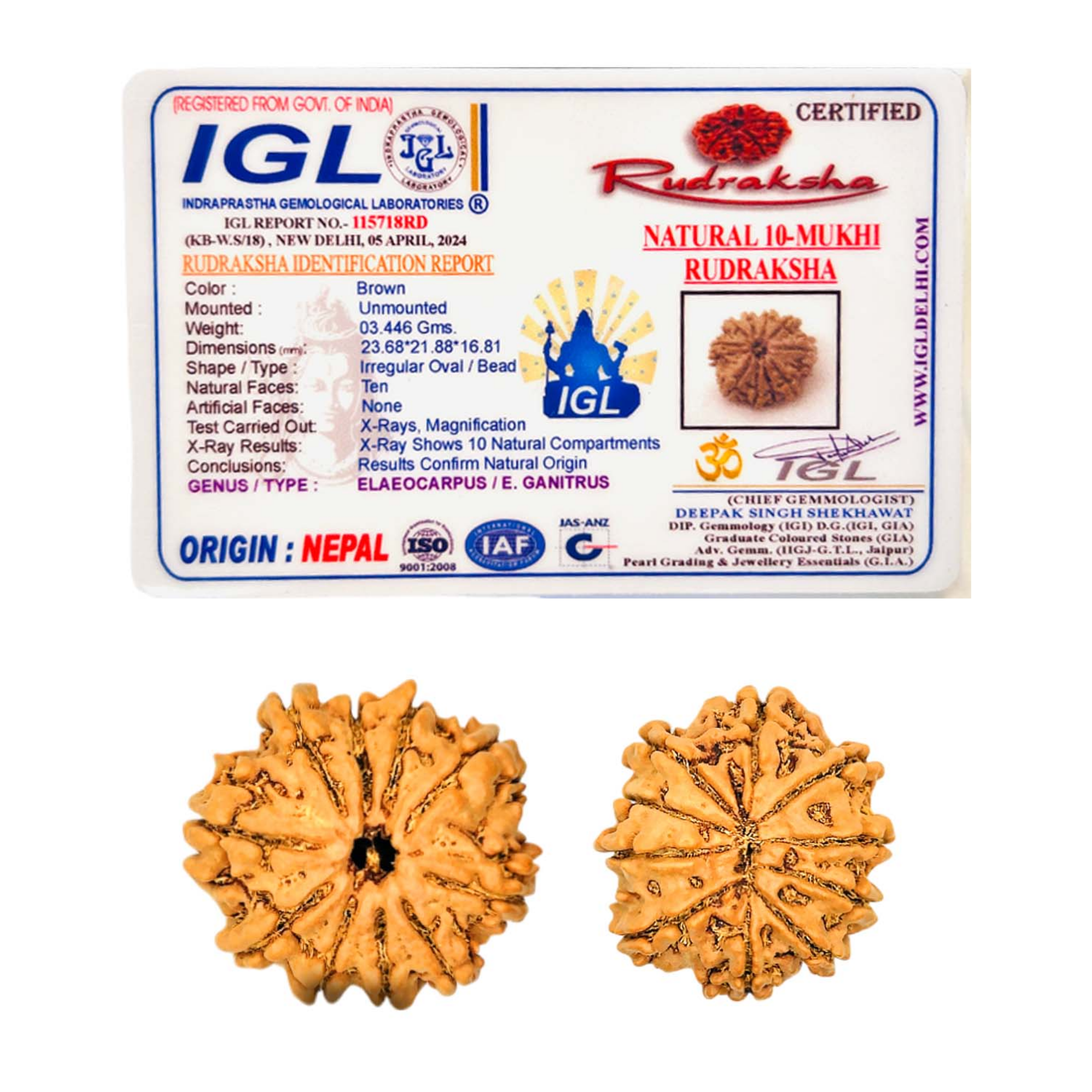 Buy 10 Mukhi Rudraksha Nepali Regular - Image 2