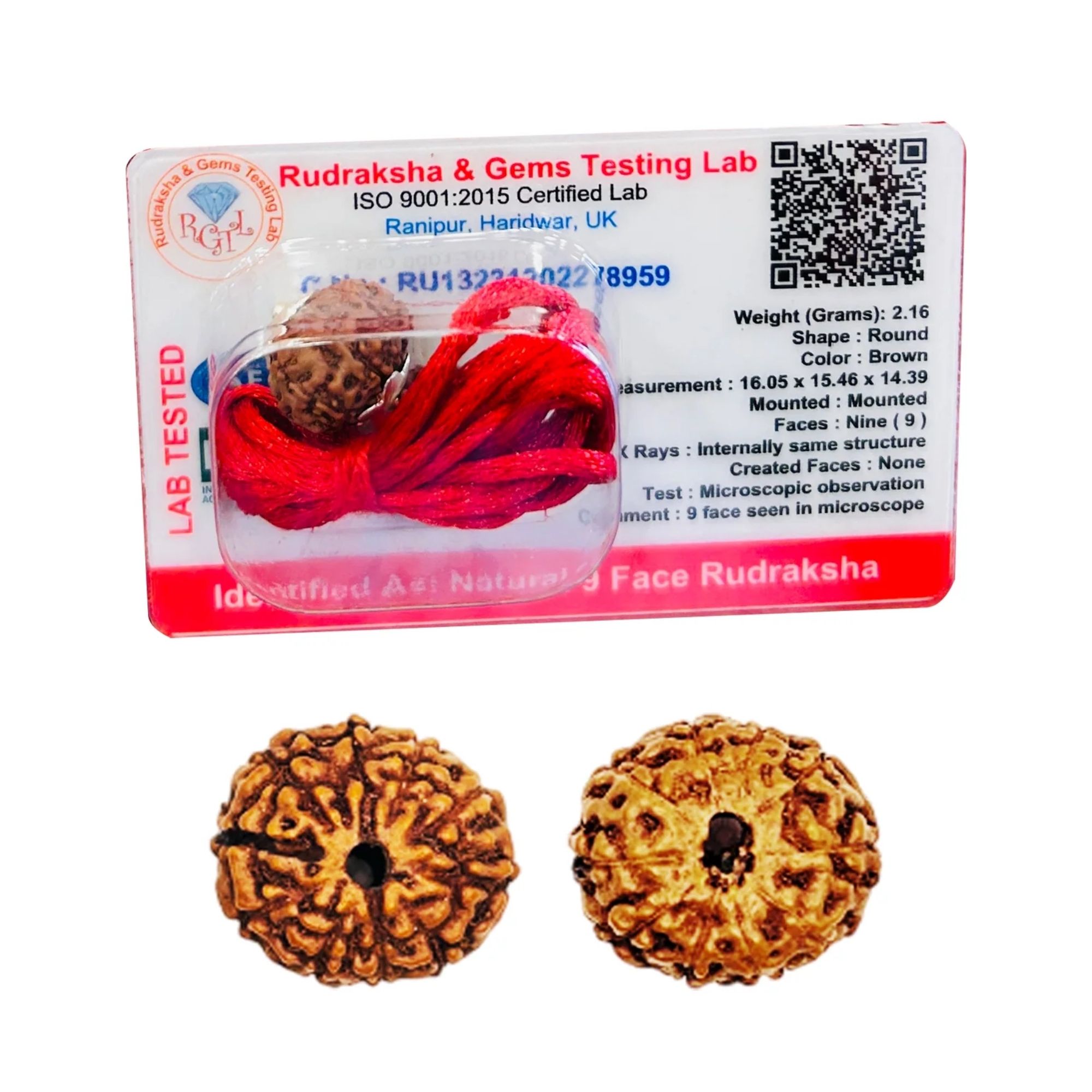 Buy 9 Mukhi Indonesian Rudraksha for Success - Image 2
