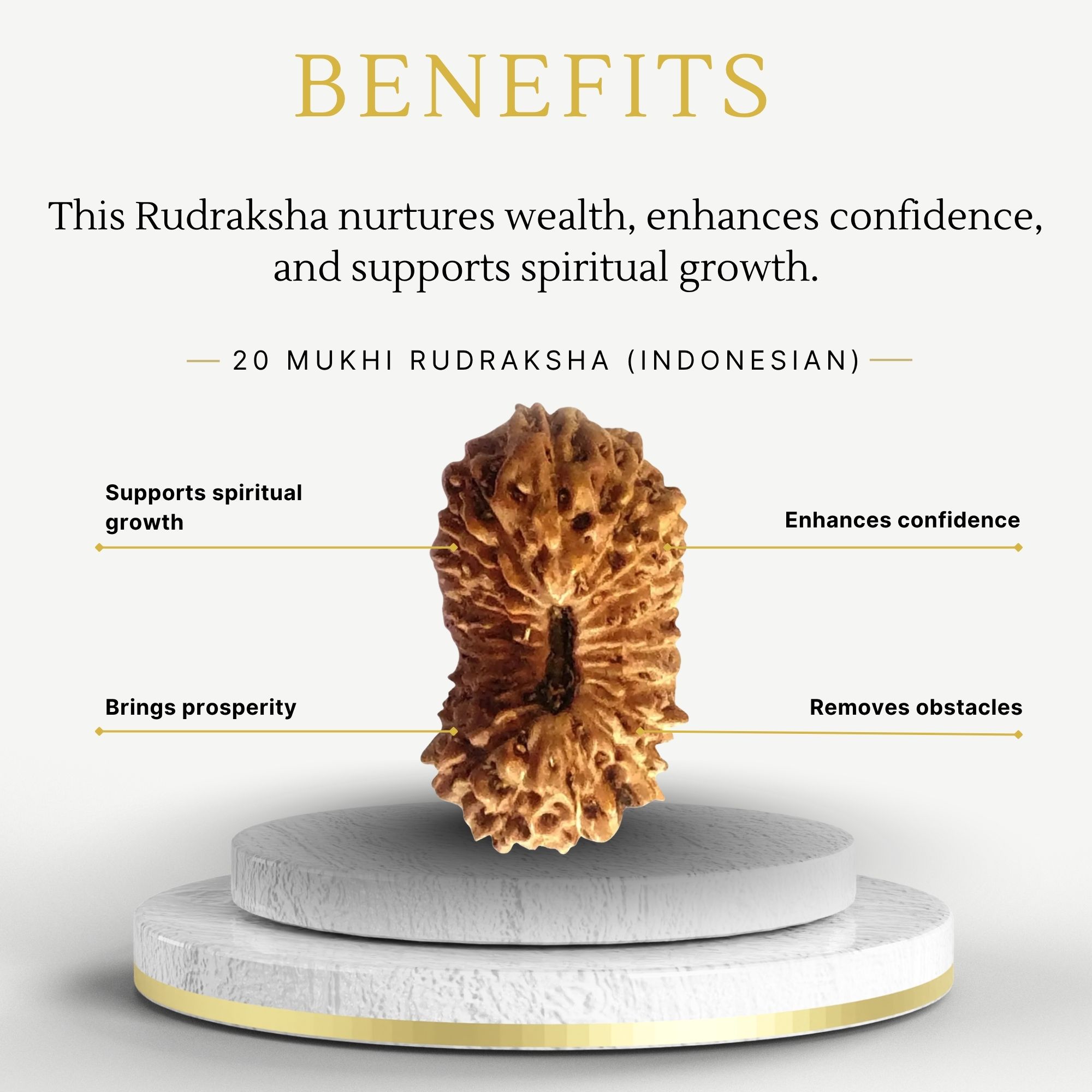 20 Mukhi Rudraksha Indonesian Bead - Image 3