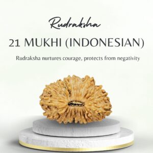 21 Mukhi Indonesian Rudraksha Natural Bead