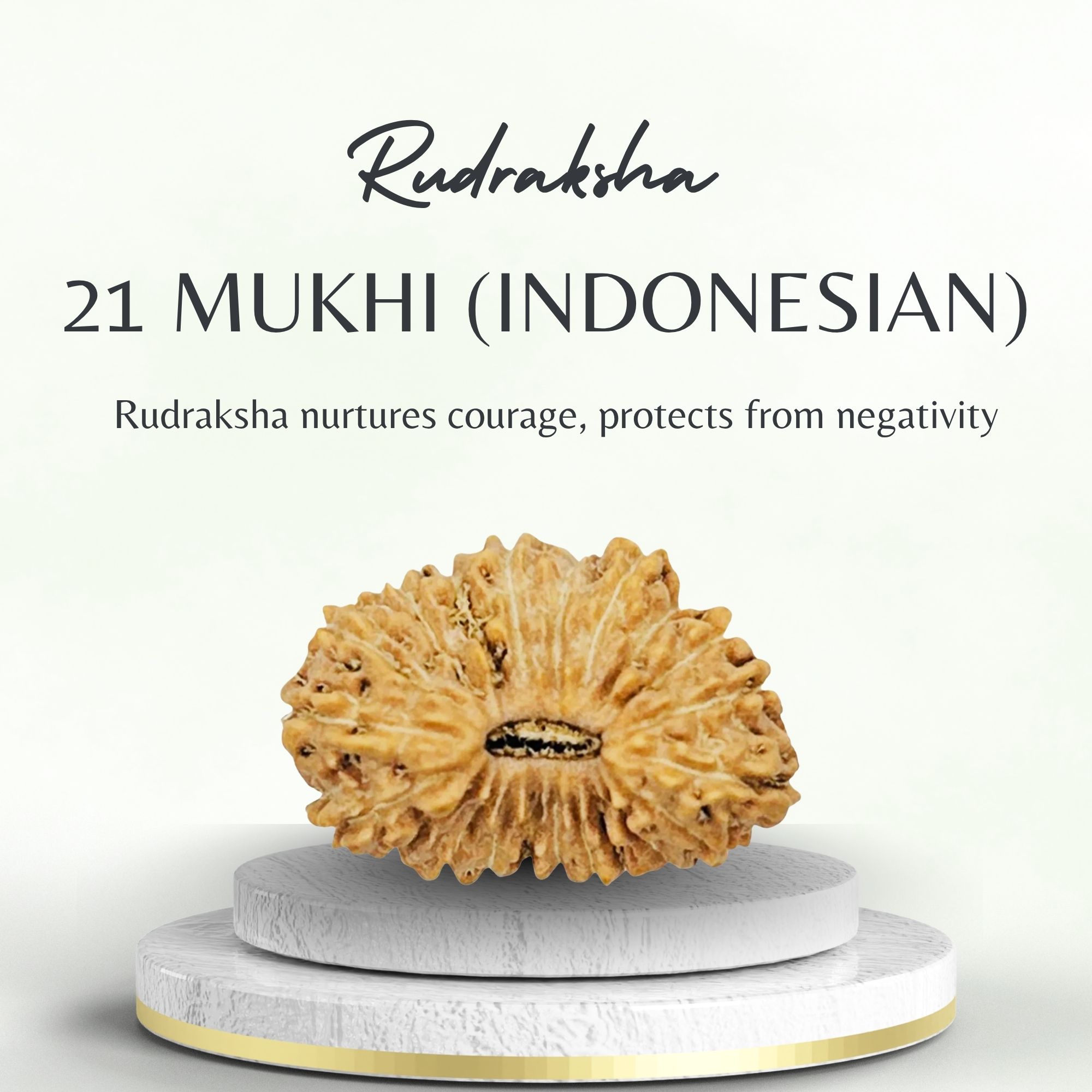 21 Mukhi Indonesian Rudraksha Natural Bead