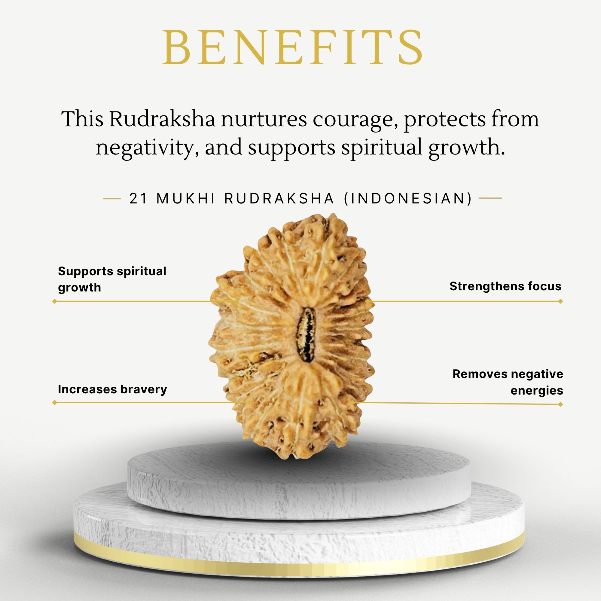 21 Mukhi Indonesian Rudraksha Natural Bead - Image 3