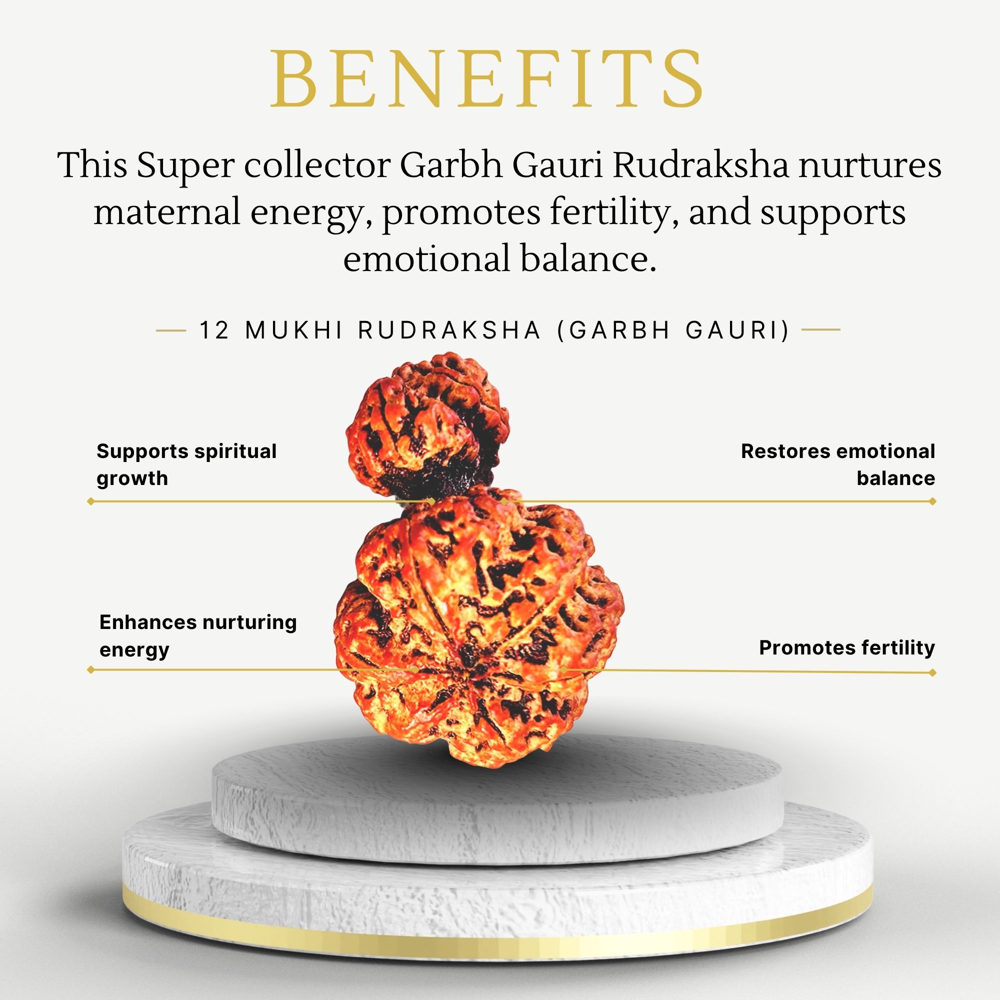 12 Mukhi Garbh Gauri Rudraksha - Image 3