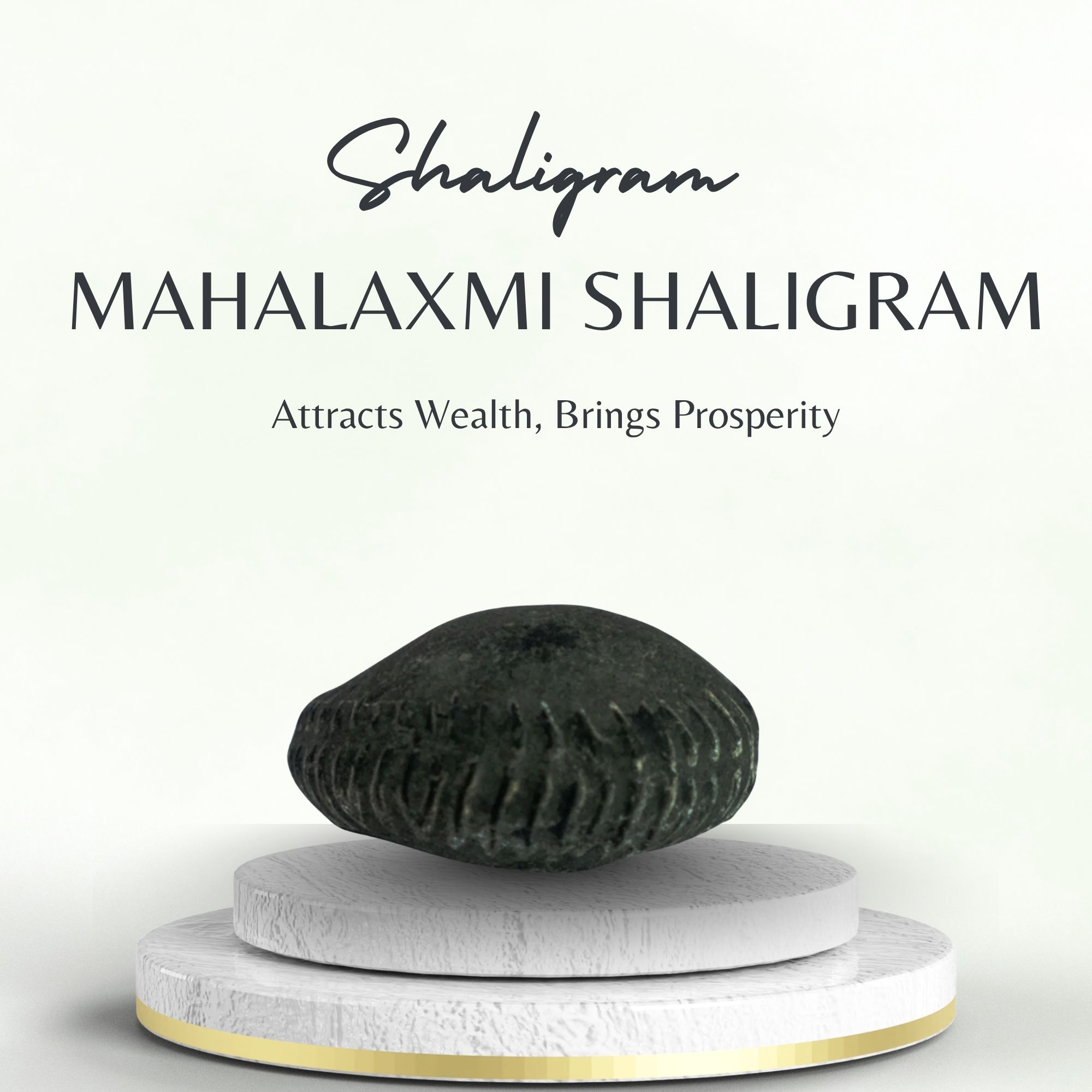 Mahalaxmi Shaligram