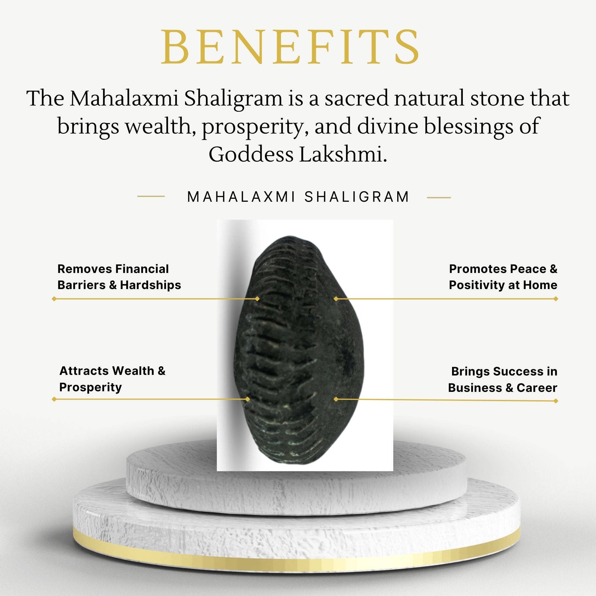 Mahalaxmi Shaligram - Image 3
