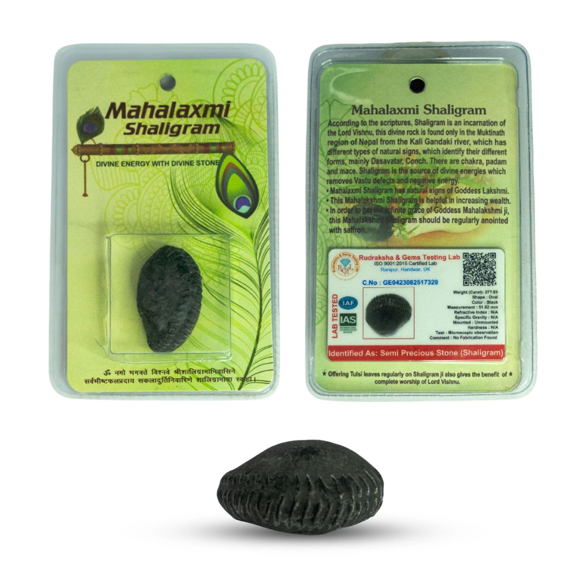 Mahalaxmi Shaligram - Image 2