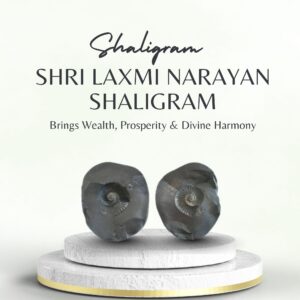 Shri Laxmi Narayan Shaligram