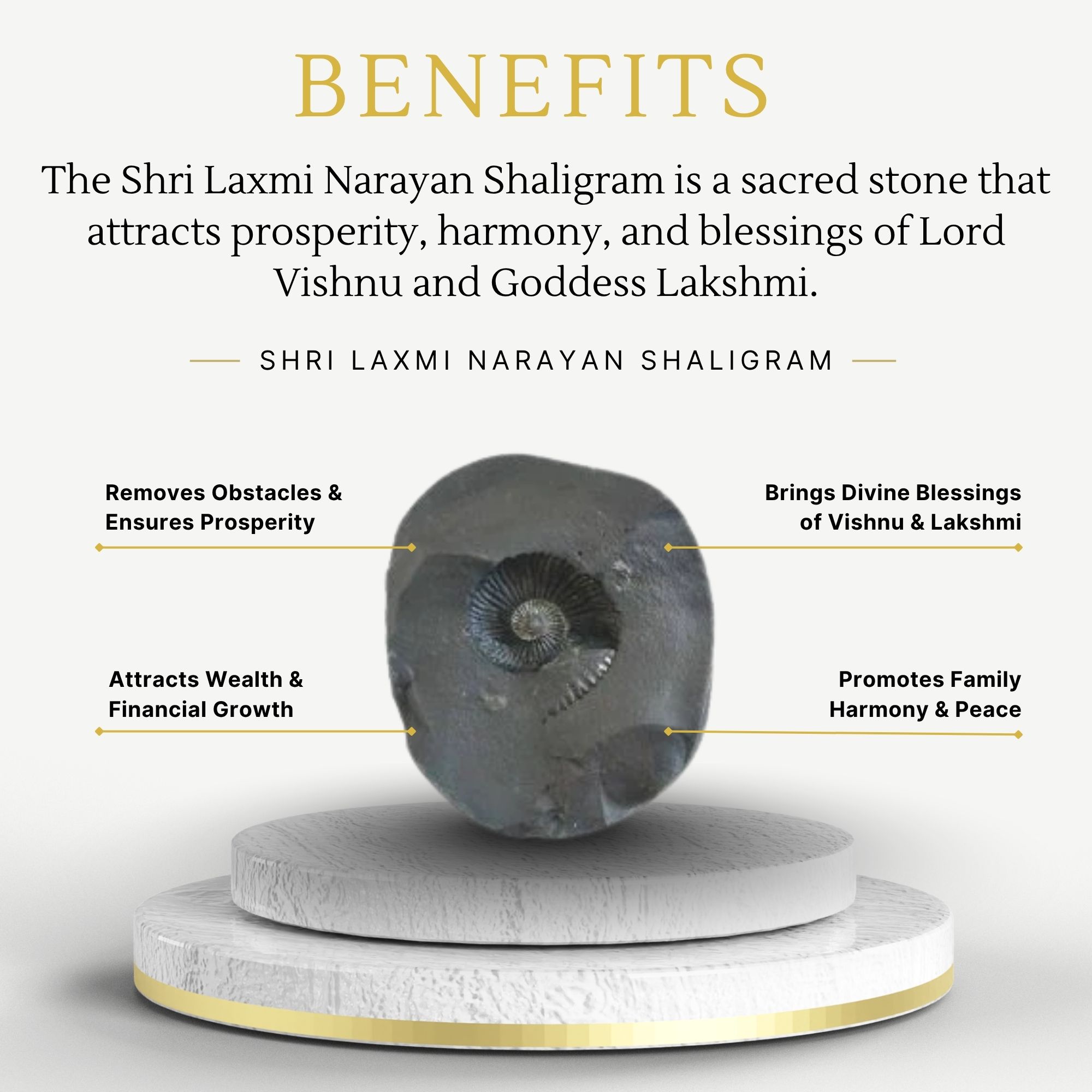 Shri Laxmi Narayan Shaligram - Image 3