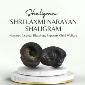 Shri Laxmi Narayan Shaligram
