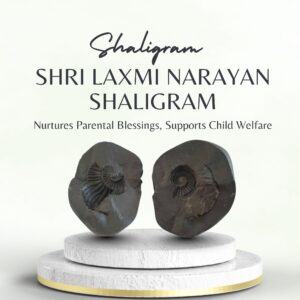 Shri Laxmi Narayan Shaligram
