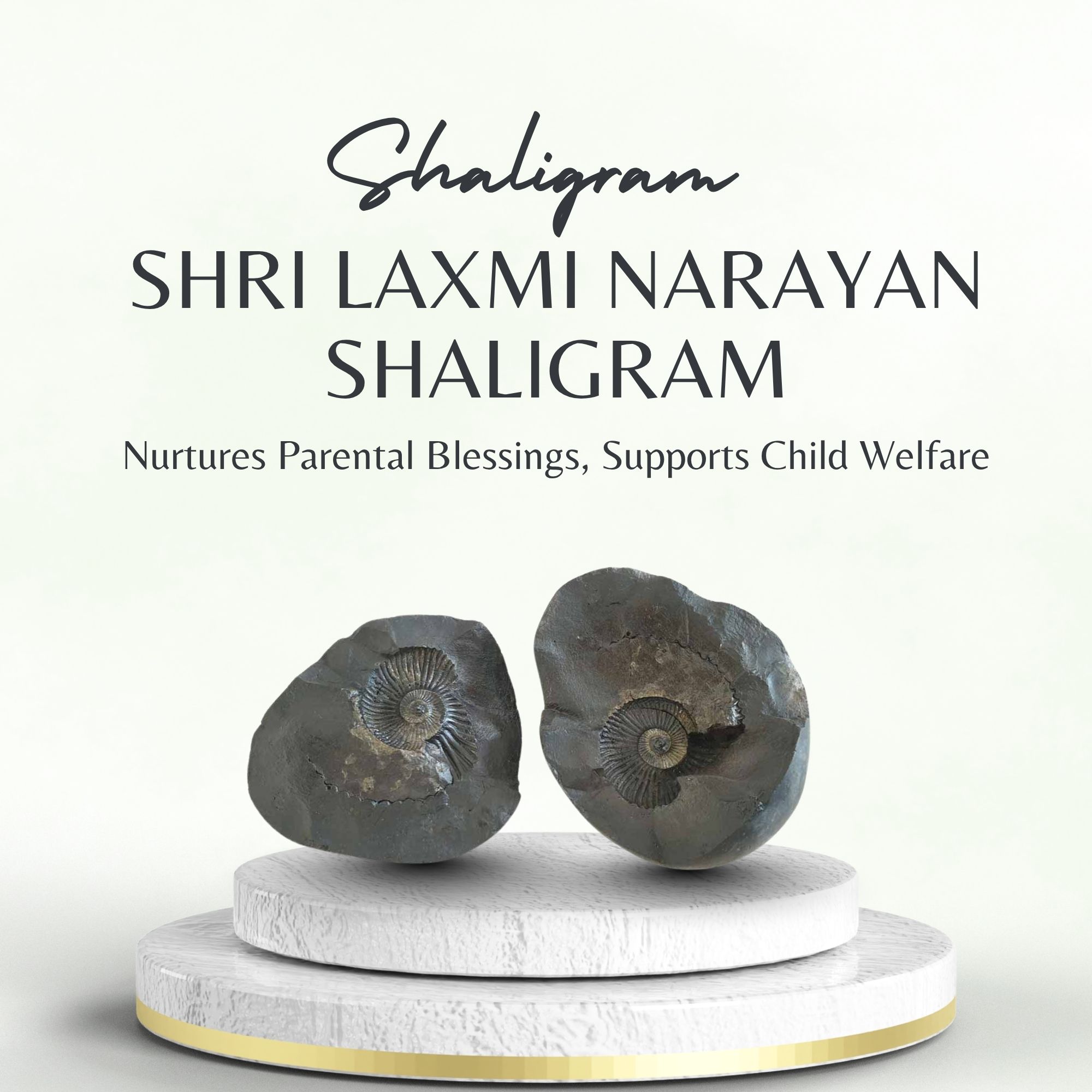 Shri Laxmi Narayan Shaligram