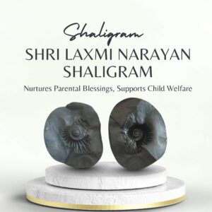 Shri Laxmi Narayan Shaligram