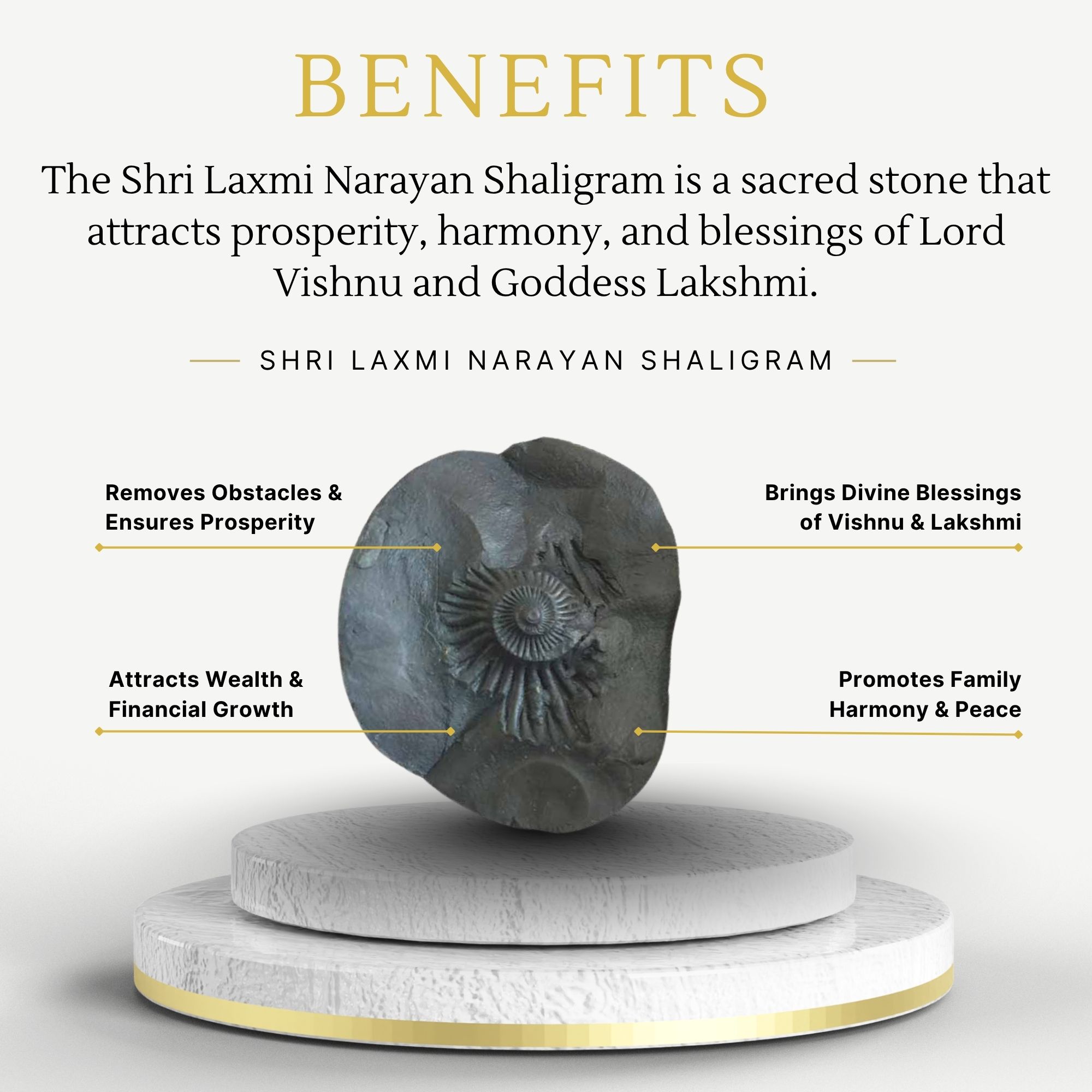 Shri Laxmi Narayan Shaligram - Image 3