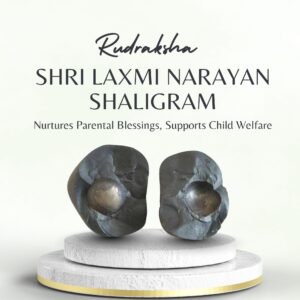 Shri Laxmi Narayan Shaligram