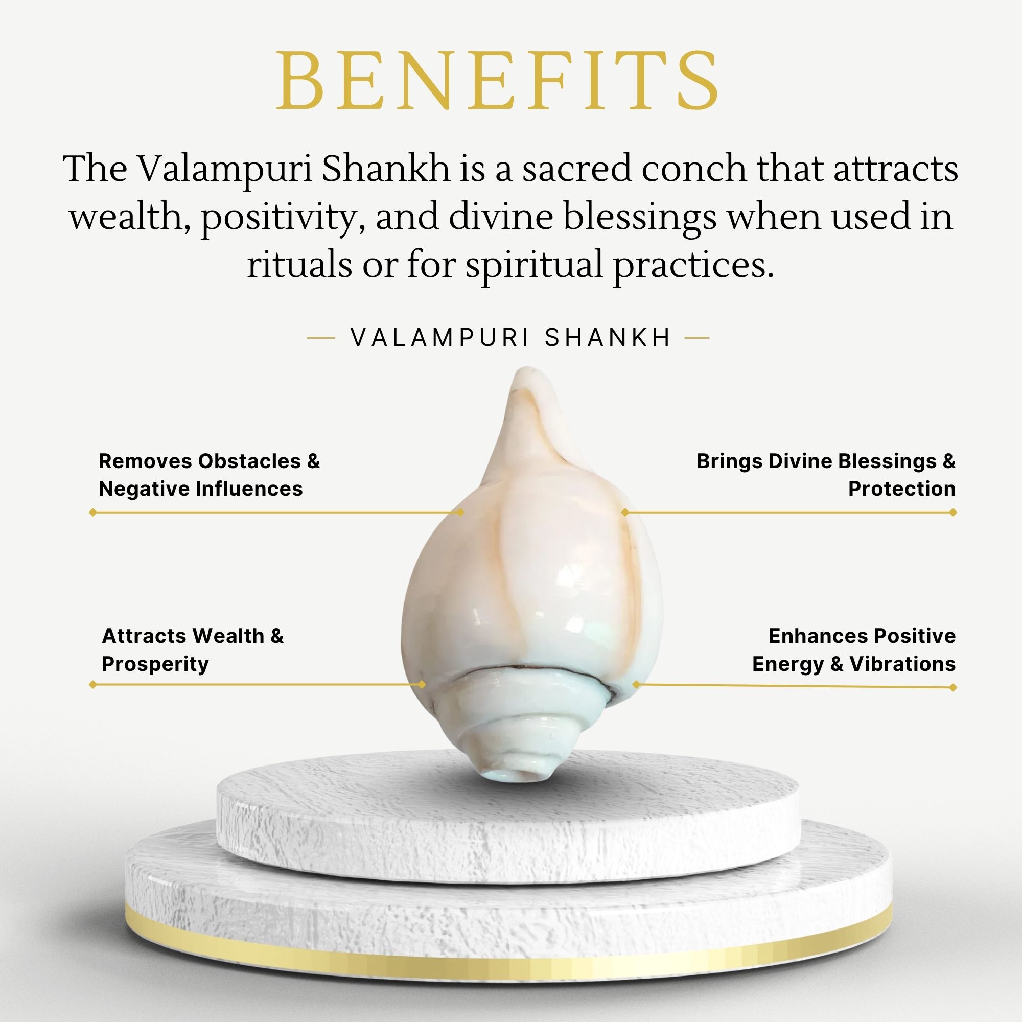 Valampuri Shankh / Conch / Blowing Shankh - Image 3