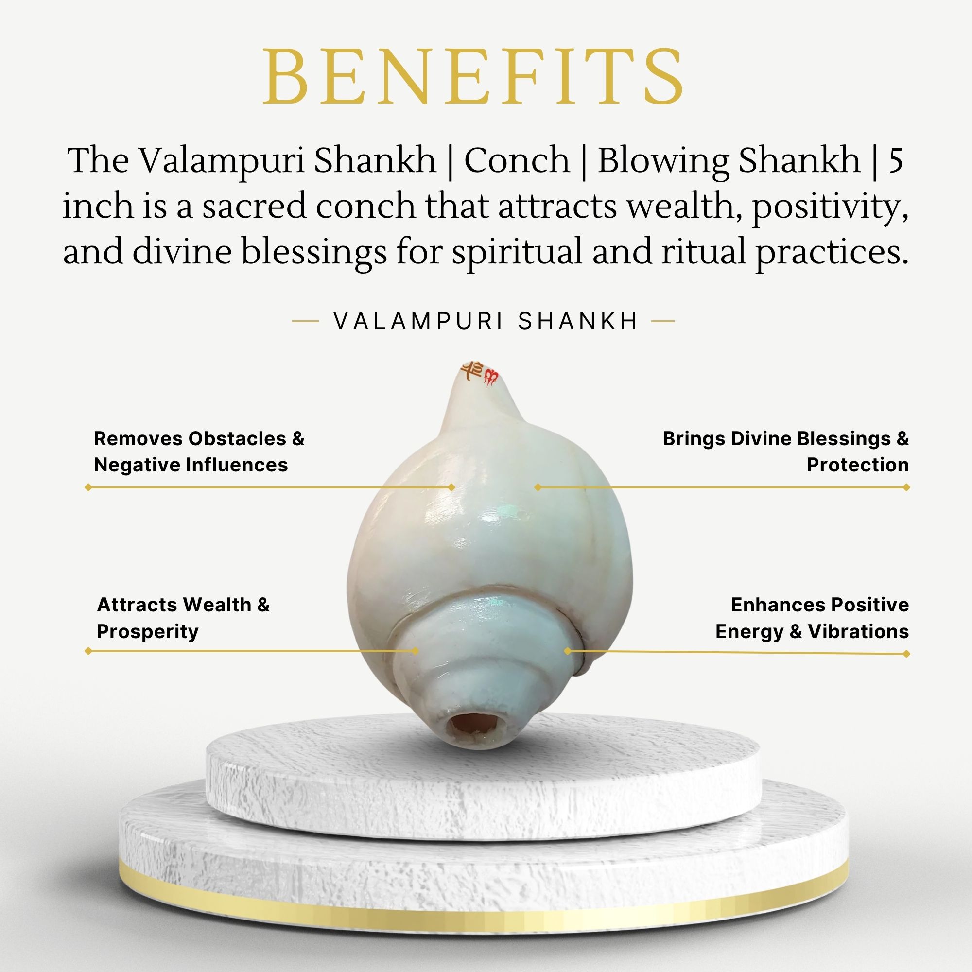 Valampuri Shankh | Conch | Blowing Shankh length 5 inch - Image 3