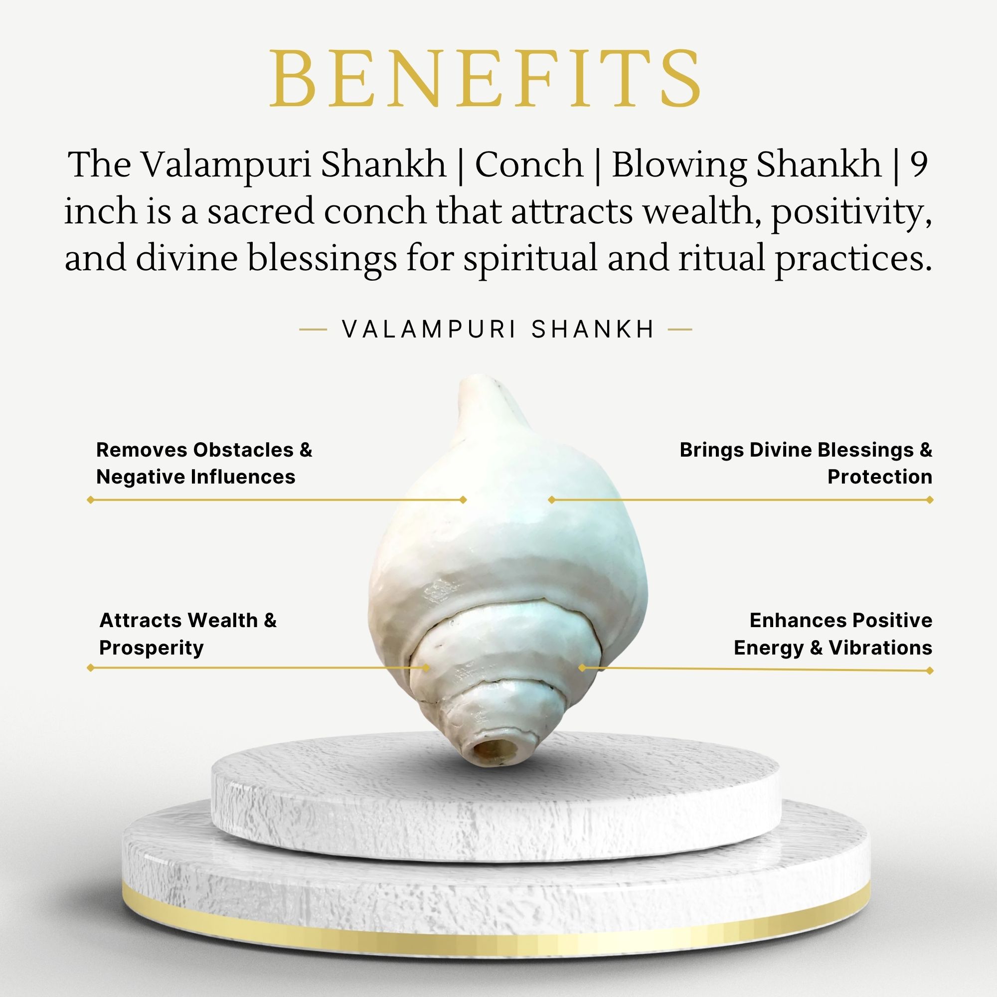 Valampuri Shankh | Conch | Blowing Shankh length 9 inch - Image 3