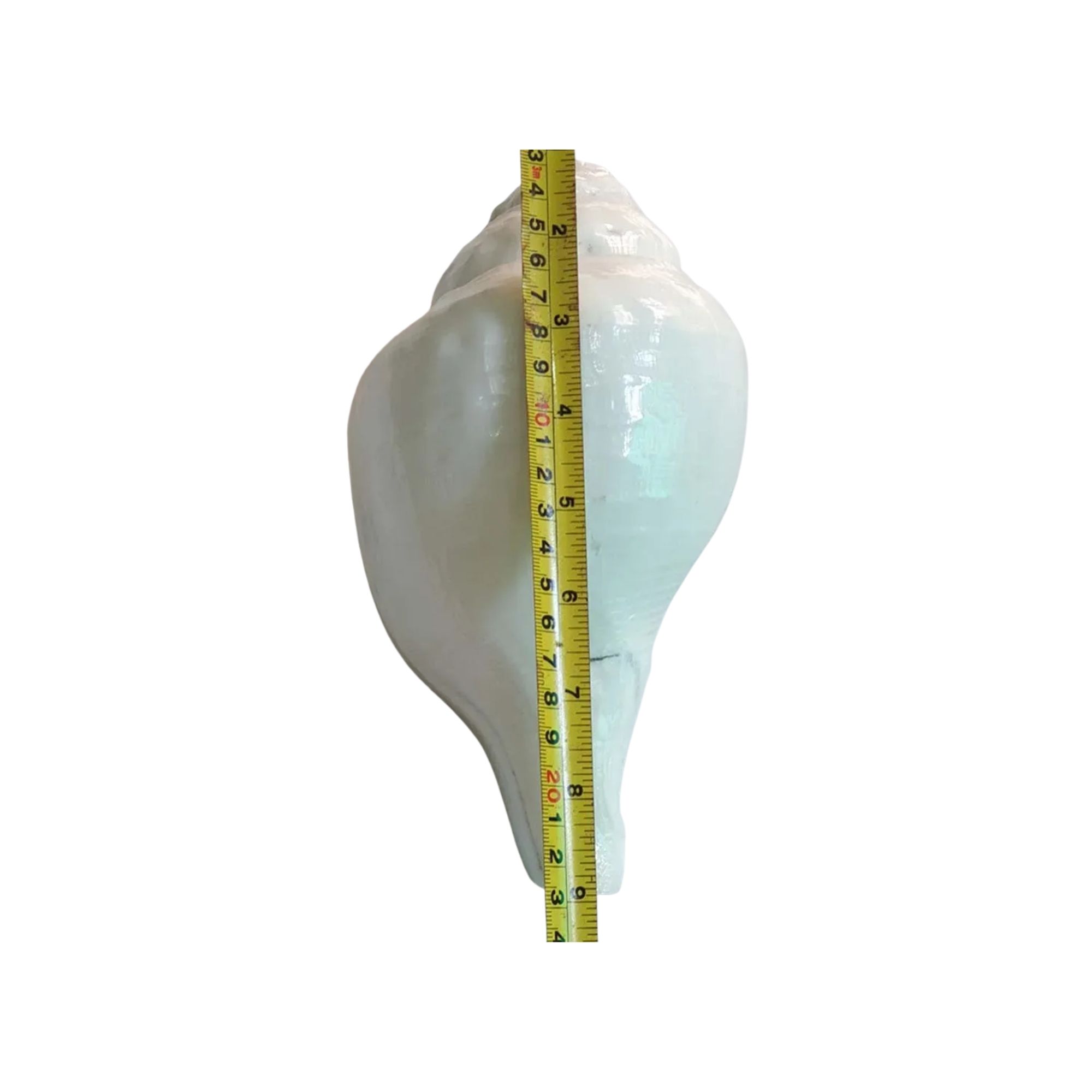Valampuri Shankh | Conch | Blowing Shankh length 9 inch - Image 2