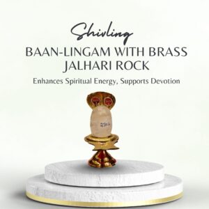 Baan-lingam with Brass Jalhari Rock-Quartz(sphatik)