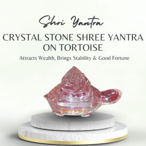 Crystal stone Shree Yantra on Tortoise one hundred fifty nine gram