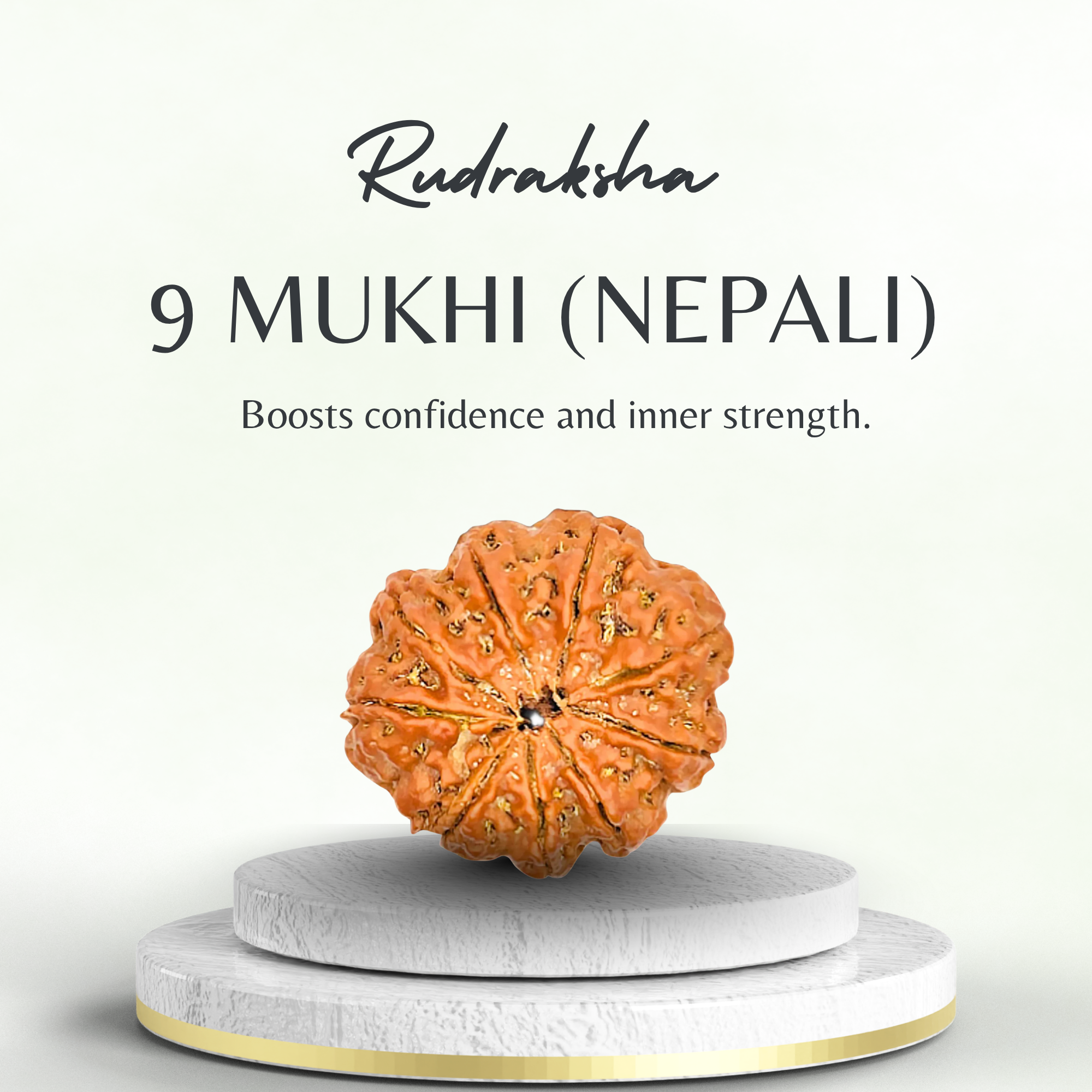 Buy 9 Mukhi Rudraksha Nepali – Medium Grade