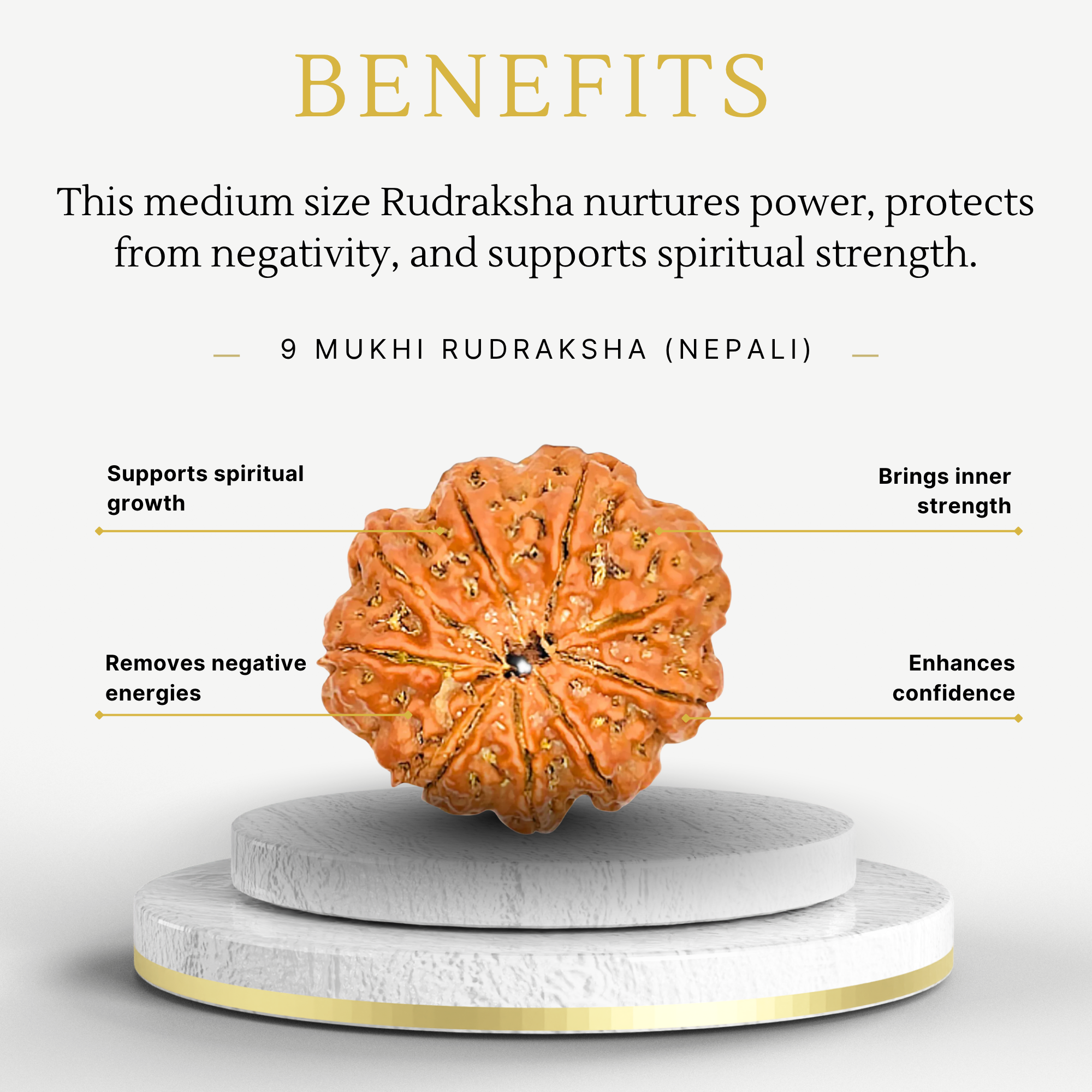 Buy 9 Mukhi Rudraksha Nepali – Medium Grade - Image 3