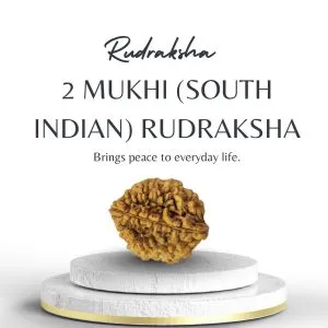 Authentic 2 Mukhi Rudraksha South Indian