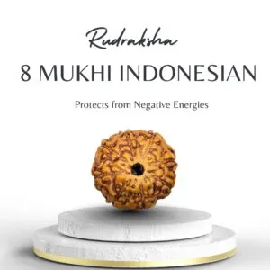 Buy 8 Mukhi Indonesian Rudraksha for Success