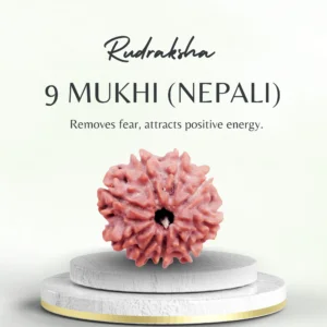 Buy 9 Mukhi Rudraksha Nepali – Regular Quality
